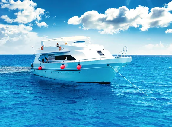 Surfers Paradise, Surfing Vacation - NG体育